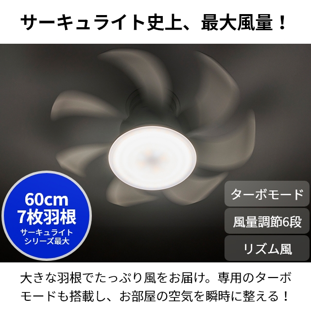 DOSHISHA（ドウシシャ） サーキュライト 選べる豪華特典 ウイング