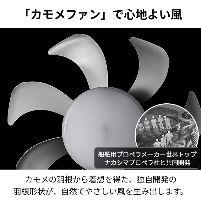 DOSHISHA（ドウシシャ） サーキュライト 選べる豪華特典 ウイング