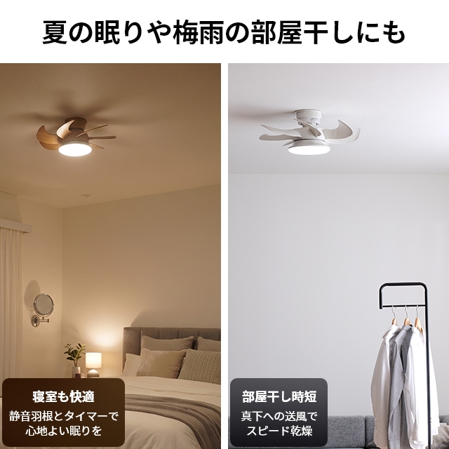 DOSHISHA（ドウシシャ） サーキュライト 選べる豪華特典 ウイング