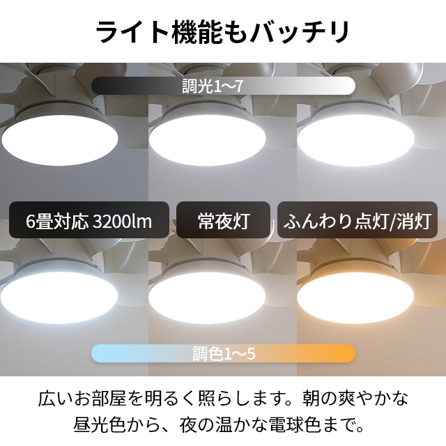DOSHISHA（ドウシシャ） サーキュライト 選べる豪華特典 ウイング