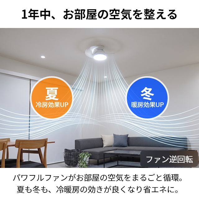 ドウシシャ LED サーキュライト サーキュレーター8畳 調光有 DOSHISHA（ドウシシャ） サーキュライト 選べる豪華特典 ウイング
