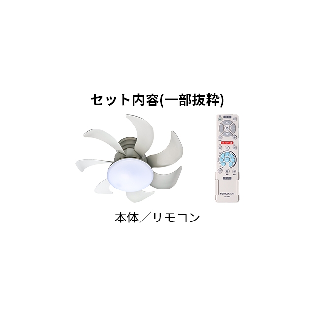 DOSHISHA（ドウシシャ） サーキュライト 選べる豪華特典 ウイング