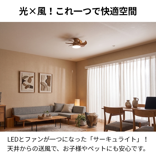 DOSHISHA（ドウシシャ） サーキュライト 選べる豪華特典 ウイング