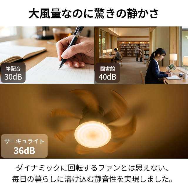 DOSHISHA（ドウシシャ） サーキュライト 選べる豪華特典 ウイング
