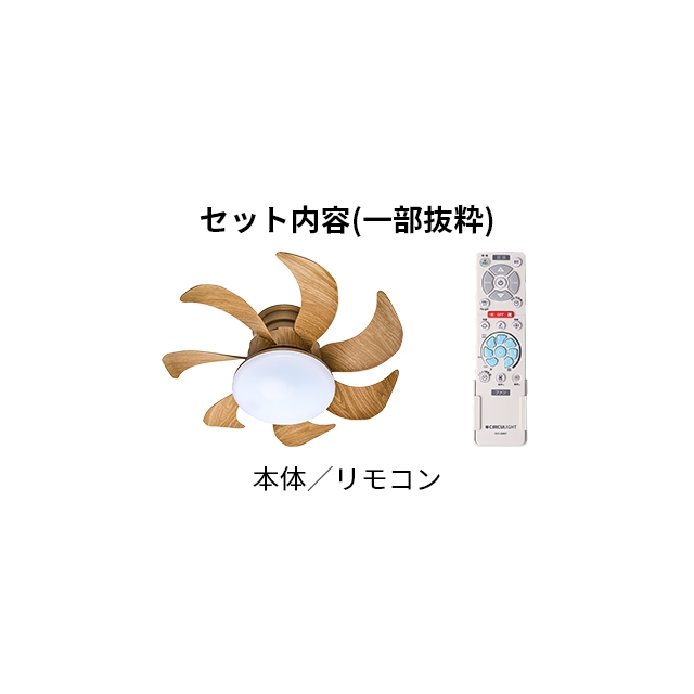 DOSHISHA（ドウシシャ） サーキュライト 選べる豪華特典 ウイング