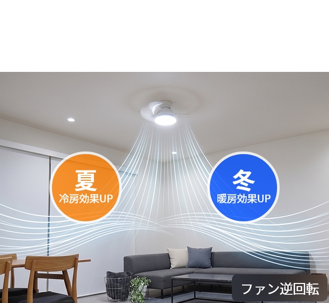 DOSHISHA（ドウシシャ） サーキュライト ハンディファンの特典有