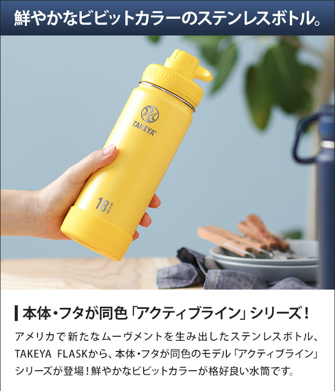 TAKEYA FLASK 水筒 マグボトル タケヤフラスク アクティブライン 520ml