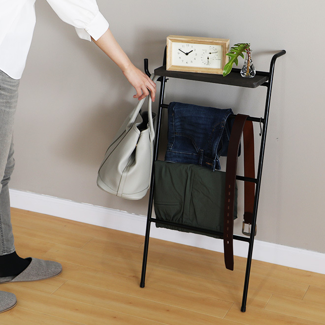 ハンガーラック アイアンラダーラック おしゃれ 棚 観葉植物 壁掛け