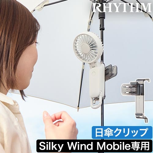 ロココ風 ヴィクトリアン調 天使 フレーム