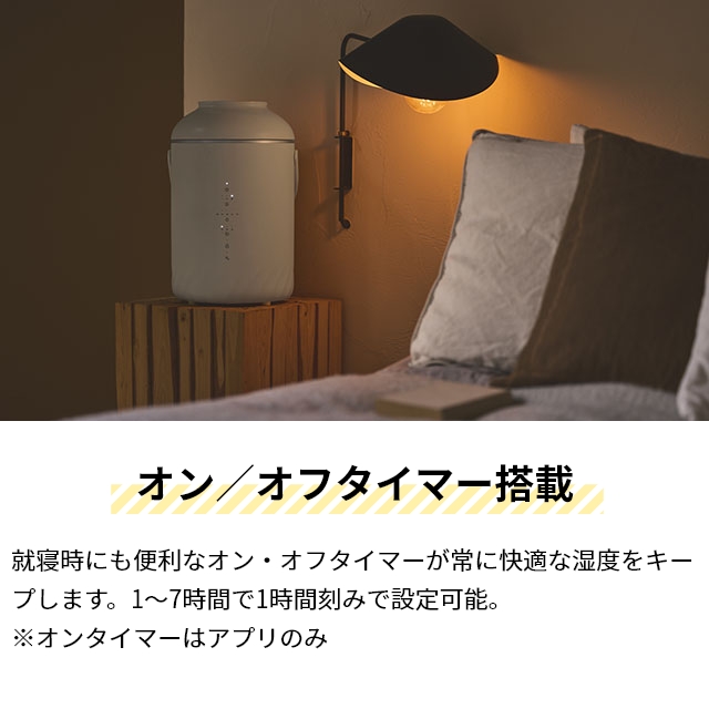 スイデン（Suiden） ココノ 選べる豪華特典 エアリーフォグ スチーム式