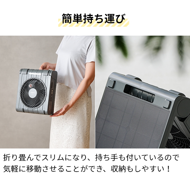 APIX INTERNATIONAL（アピックス インターナショナル） 選べる豪華特典
