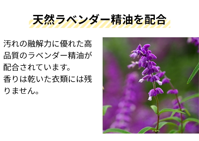 詰替用 ザ 洗濯洗剤 詰め替え用 シンクネイチャー 3個セット 洗濯用洗剤 衣類用洗剤 液体洗剤 中性洗剤 おしゃれ着洗剤 環境にやさしい 部屋干し ドラム式 縦型_12