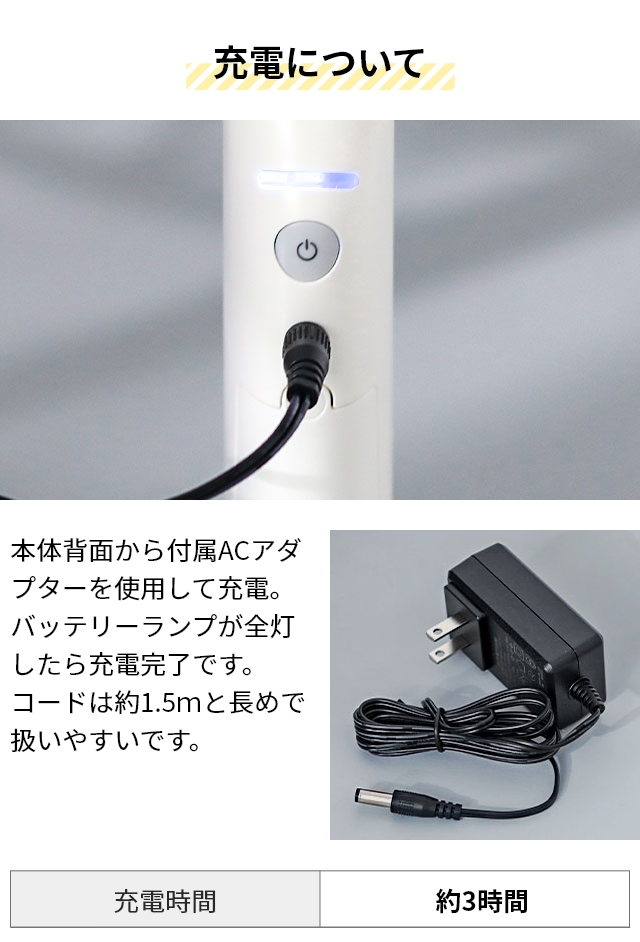 0（プラスマイナスゼロ） 選べる2大特典 激落ちくん コードレス電動
