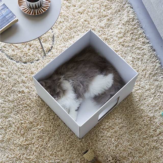 tower 山崎実業 タワー 猫ベッド キャットボックス 2個組 6137