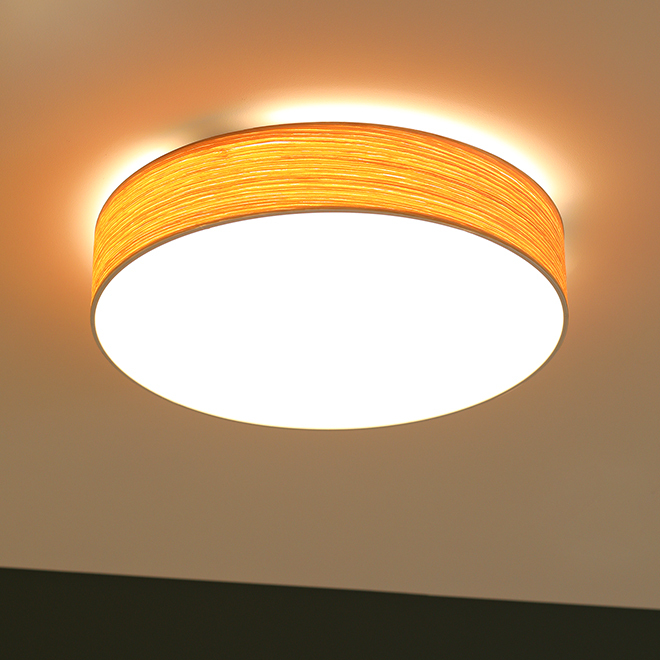 BRID（ブリッド） シーリングライト 選べる豪華特典 照明 北欧