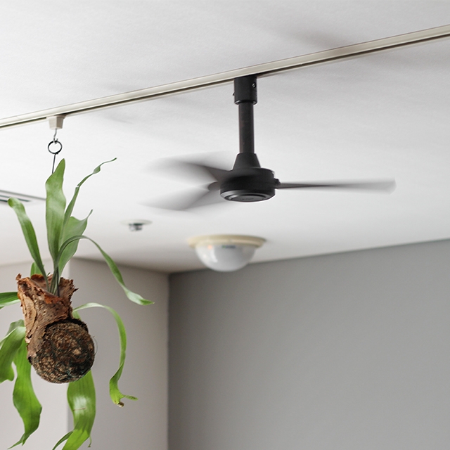 BRID（ブリッド） 選べる特典 シーリングファン ダクトレールファン DC