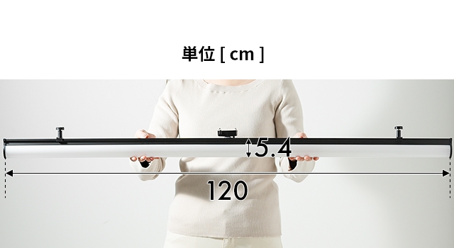 412-1 シーリングライト