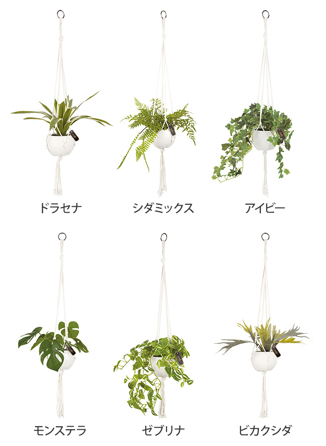 人工観葉植物 エクリア 消臭アーティフィシャル...の詳細画像2