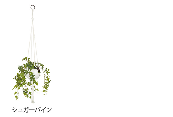 人工観葉植物 エクリア 消臭アーティフィシャル...の詳細画像3