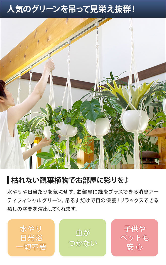 人工観葉植物 エクリア 消臭アーティフィシャル...の詳細画像4