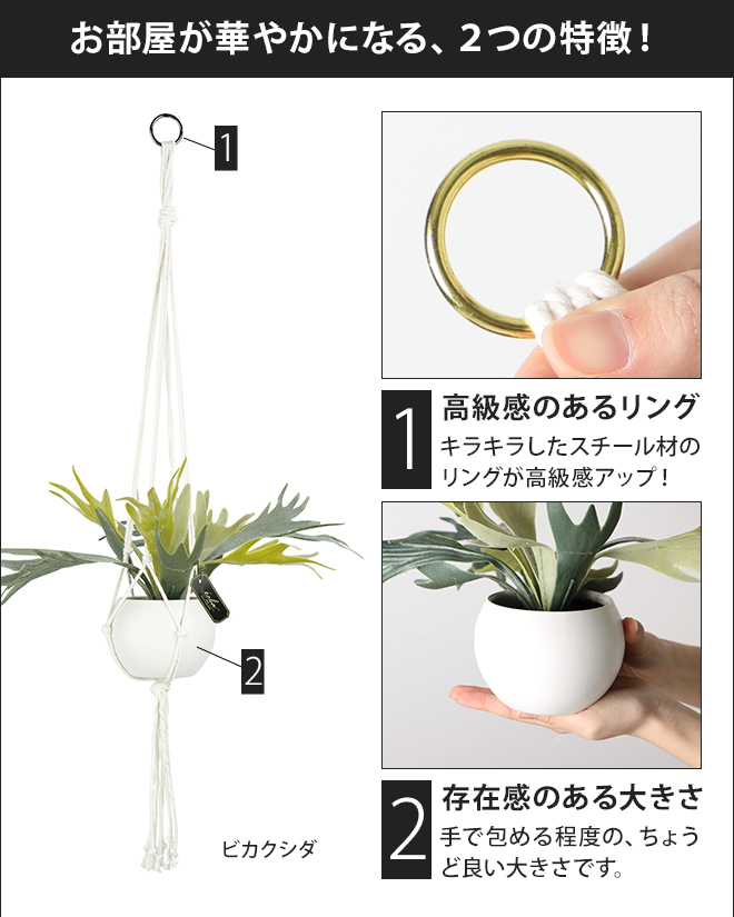 人工観葉植物 エクリア 消臭アーティフィシャル...の詳細画像5