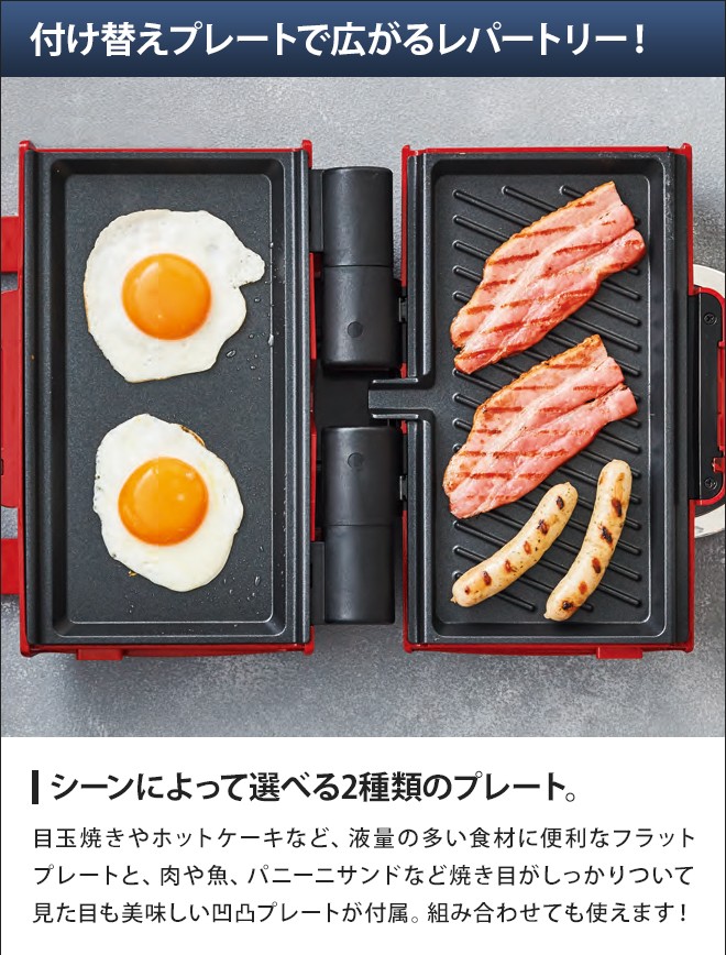 recolte レコルト 2WAYグリル アメット 折りたたみ式 両面