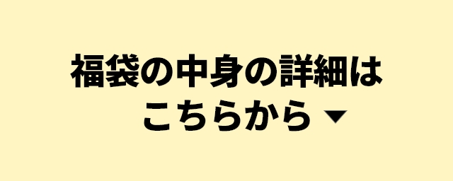 2025年 マルチスティックブレンダー福袋