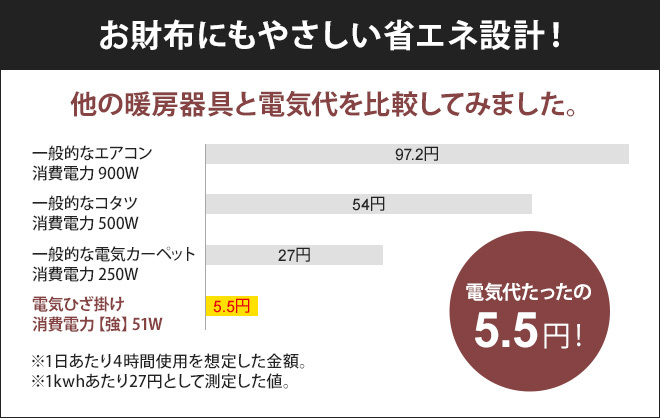 ゼンケン 電気毛布 選べる豪華特典 洗える 電磁波カット ひざ掛け