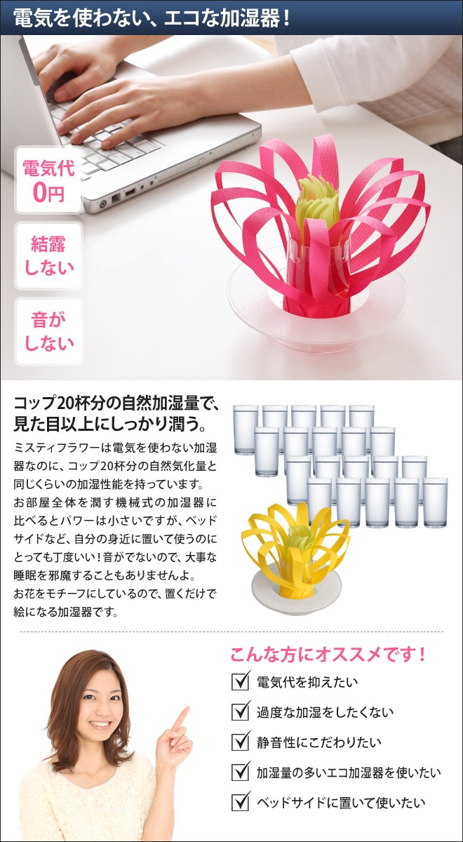 エコロジー加湿器 ミスティフラワー本体＋交換用フィルターセット 自然