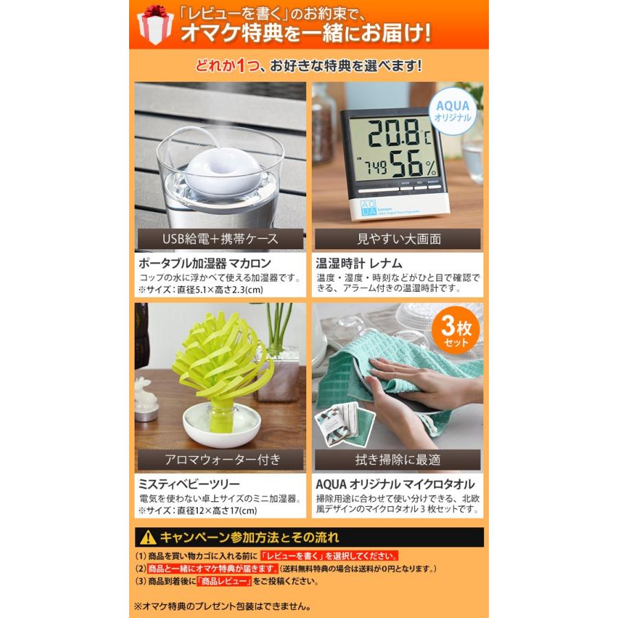 ファンヒーター 選べる豪華特典 ディンプレックス 暖炉型 電気式｜aqua-inc｜02