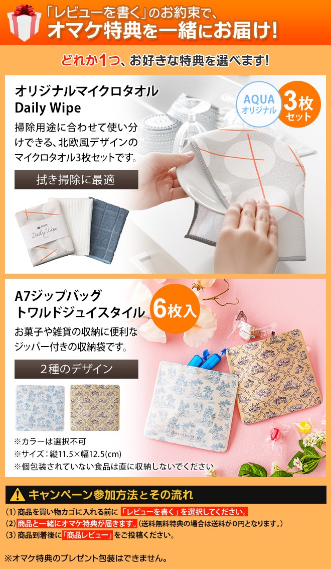 DOSHISHA（ドウシシャ） 選べる豪華特典 お手入れカンタン スチーム式