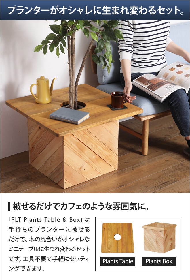 プランツテーブル＆ボックス Lセット Plants Table & Box 観葉植物