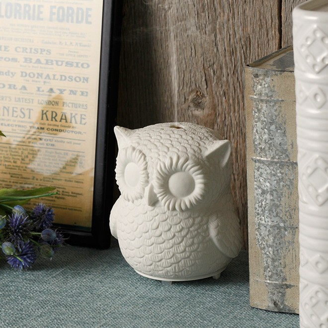 超音波式アロマディフューザー アウル アロマオイル アロマ ミスト シンプルマインド |  | 09