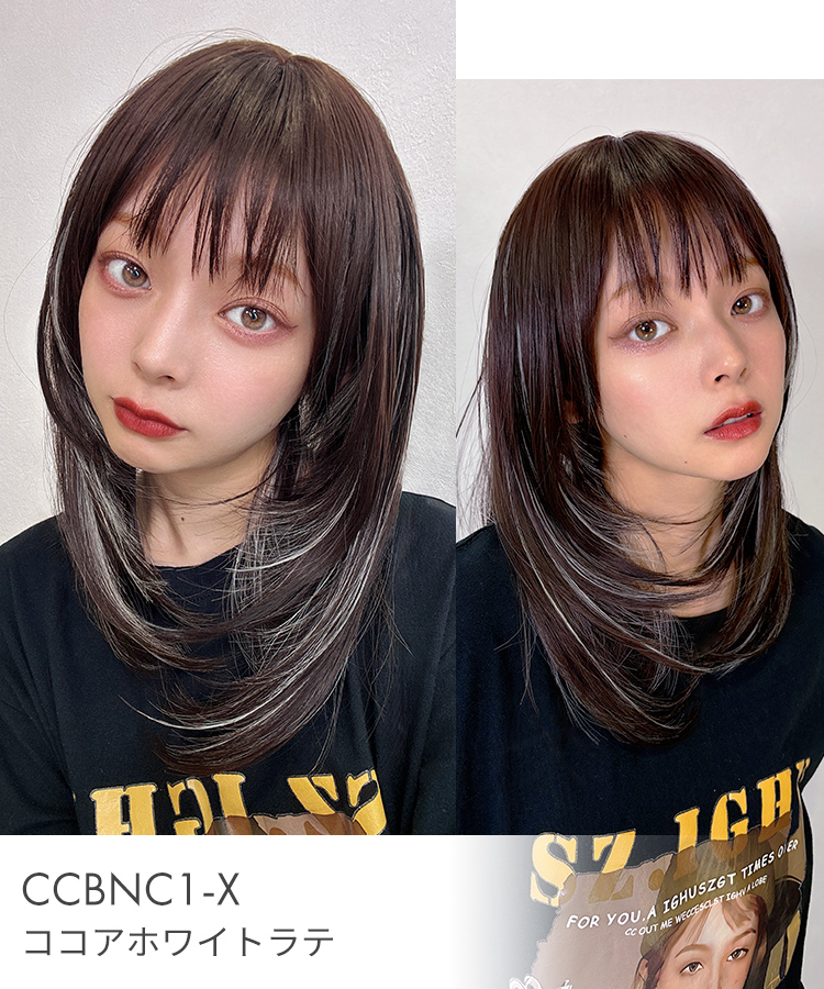ウィッグ ロング ストレート セミロング 黒髪 ロングウィッグ ウイッグ インナー メッシュ レイヤー ブラック ブラウン ウイック フルウィッグ かつら 医療用の画像