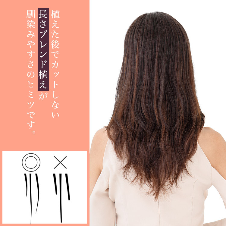 AQUADOLL 部分ウィッグ 頭頂部 人毛 分け目 ヘアピース 自然