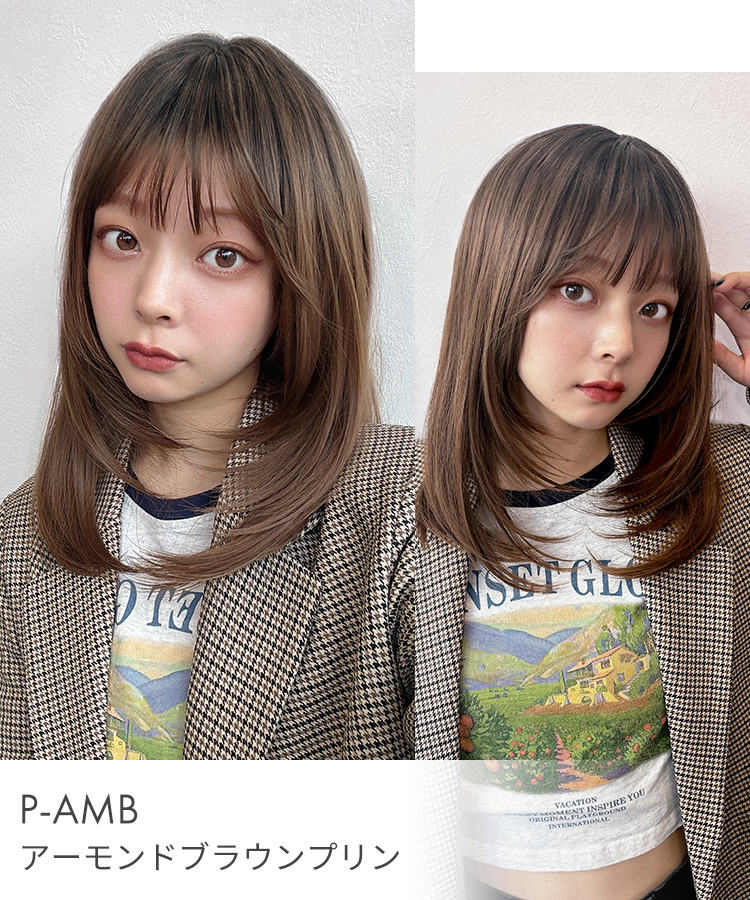 ウィッグ ロング ストレート セミロング 黒髪 ロングウィッグ ウイッグ インナー メッシュ レイヤー ブラック ブラウン ウイック フルウィッグ かつら 医療用の画像
