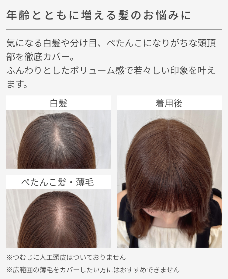 部分ウィッグ エクステ テープ式 ヘアピース ...の詳細画像3