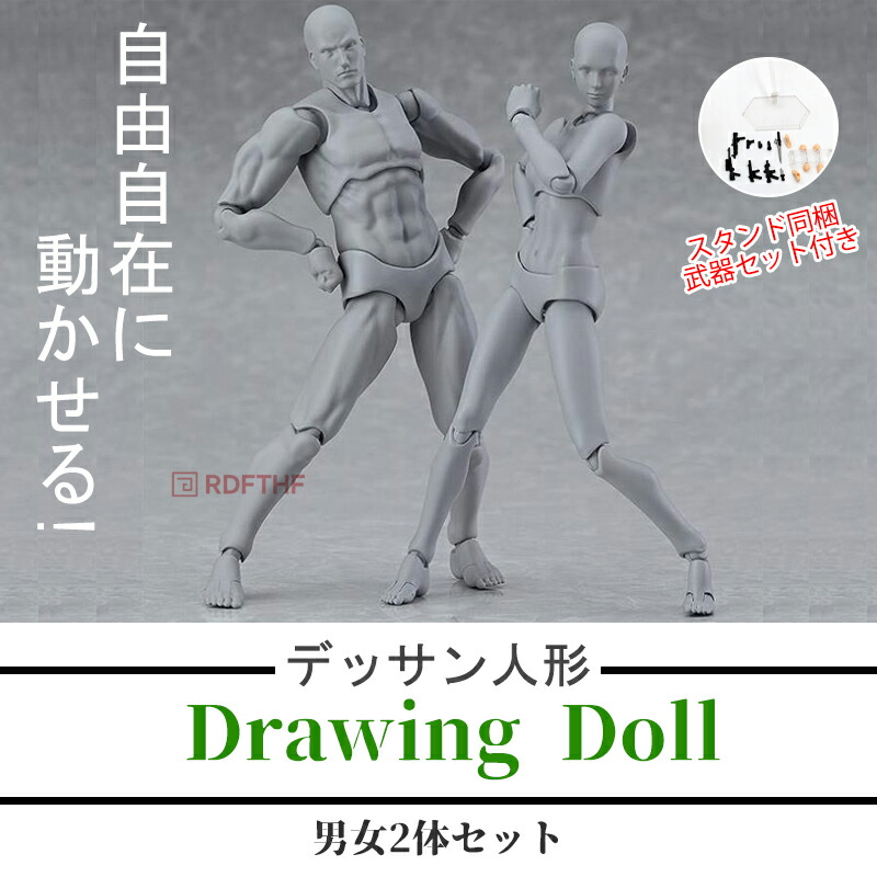 デッサンドール 男女セット台座付き 人形人体 模型 フィギュア