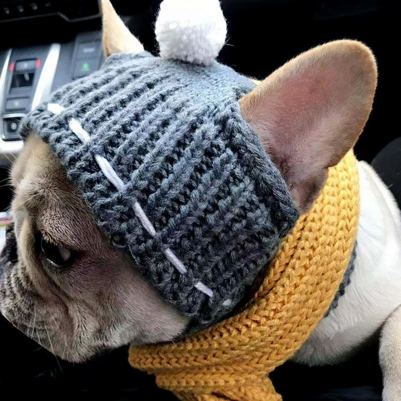 犬用 ニット帽 ペット用帽子 犬用帽子 フレンチブルドッグ フレブル 耳