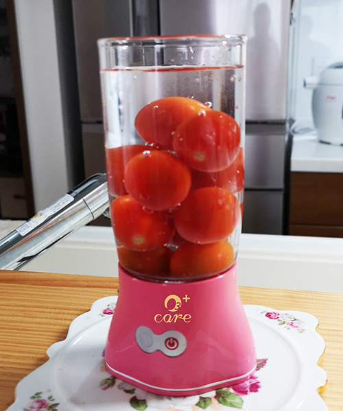 オゾ・ケア-J300】 オゾン水生成器、水道水を3分電解。手軽に使える