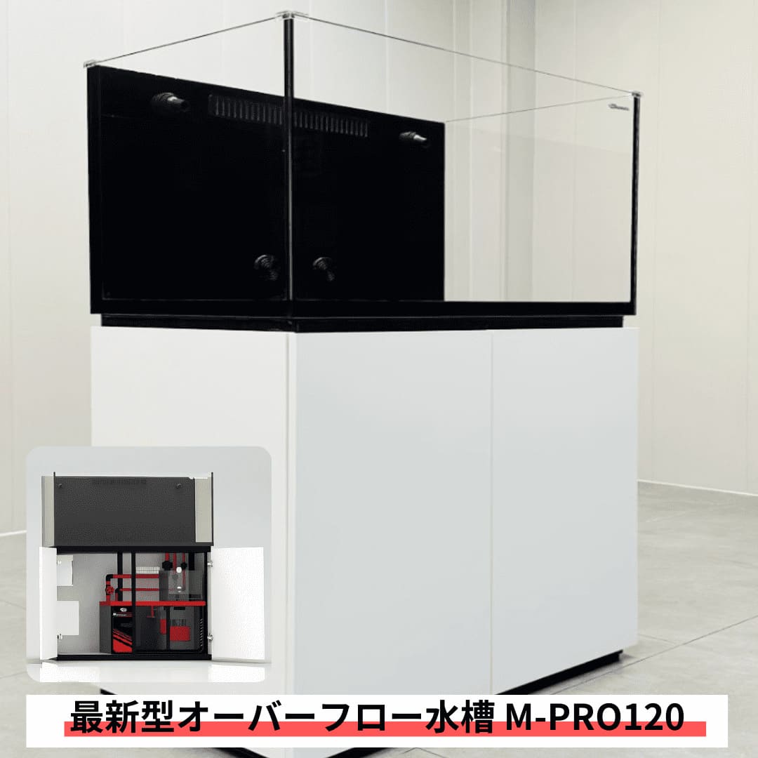 全国配送対応】120cm 新型オーバーフロー水槽 M-PRO120 キャビネット 黒・白選択可 アクアギフト ネプチューンキューブ t183 :  c-5016 : アクアギフト - 通販 - Yahoo!ショッピング