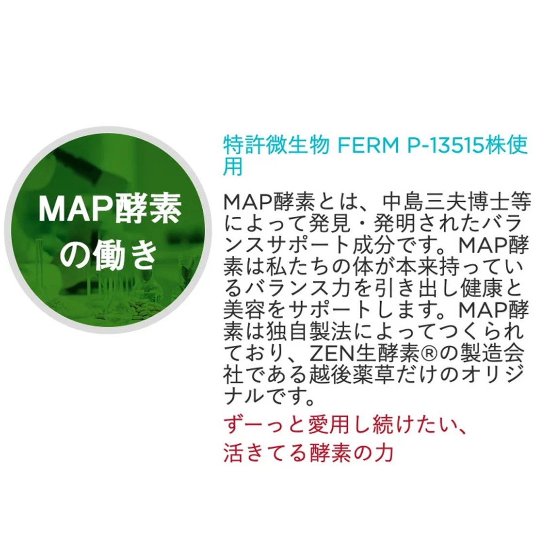ゼンノア ZEN生酵素 90g (6g×15包）ZENNOA MAP酵素配合 スマート