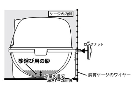 沖縄