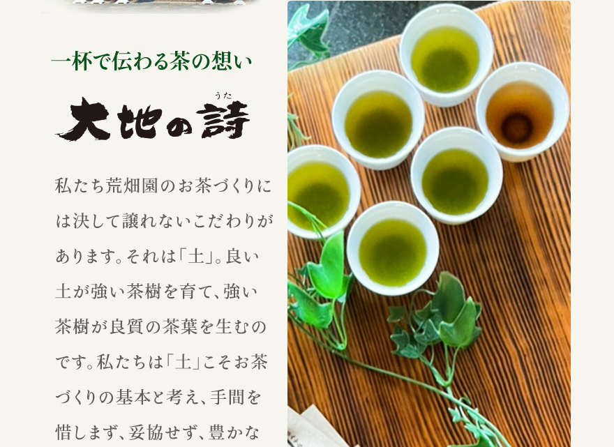 お茶 緑茶 プチギフト プレゼント 茶葉 深蒸し茶 日本茶 お茶の葉 静岡 