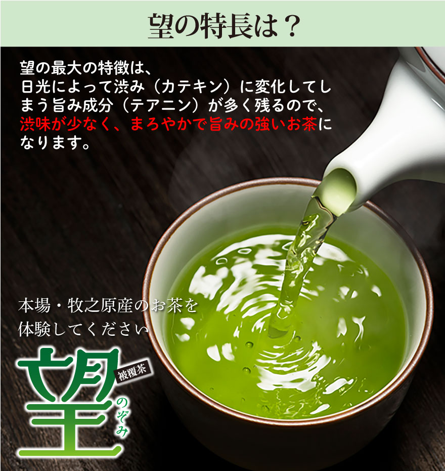 お歳暮 2023 ギフト お茶 緑茶 プレゼント 茶葉 静岡茶 お茶の葉 深