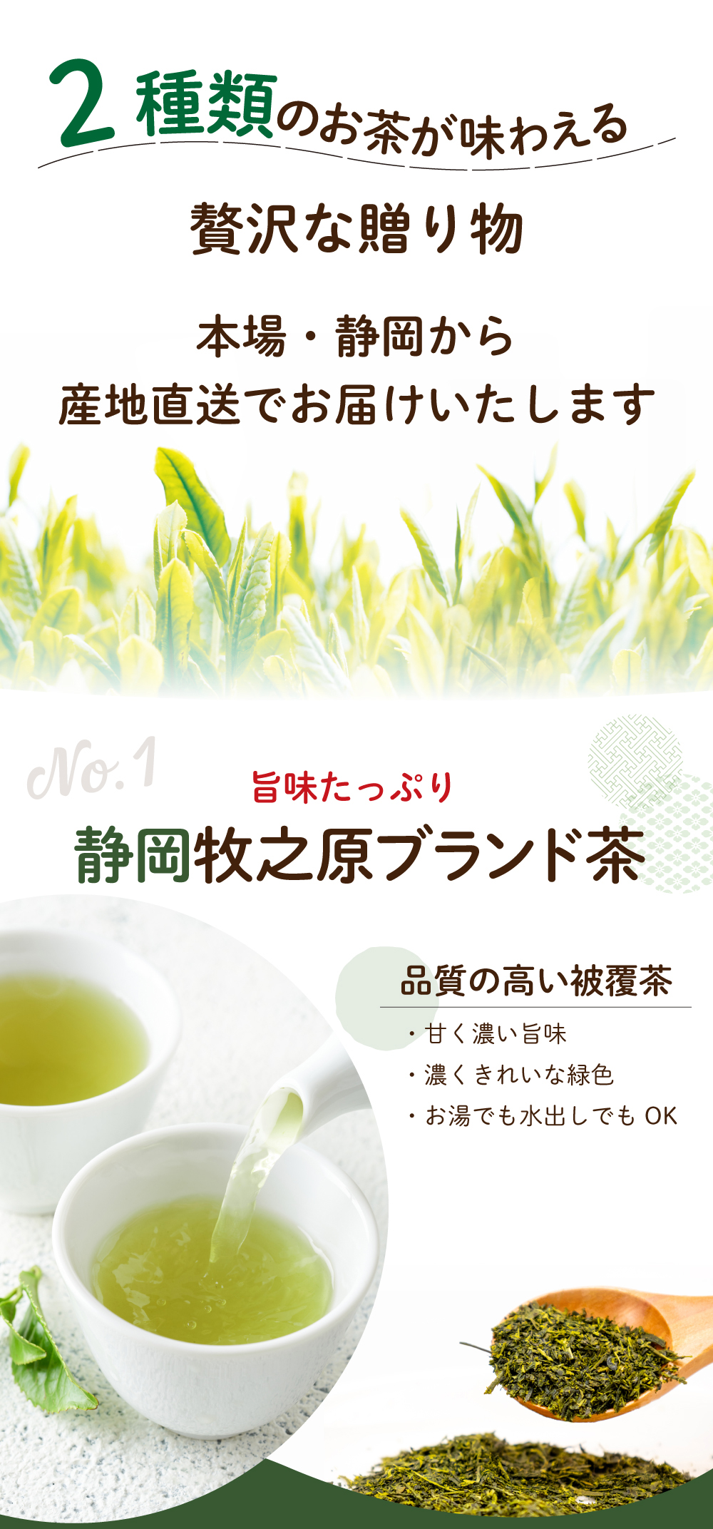 お茶の荒畑園 母の日 ギフト プレゼント 2025 早割 60代 70代
