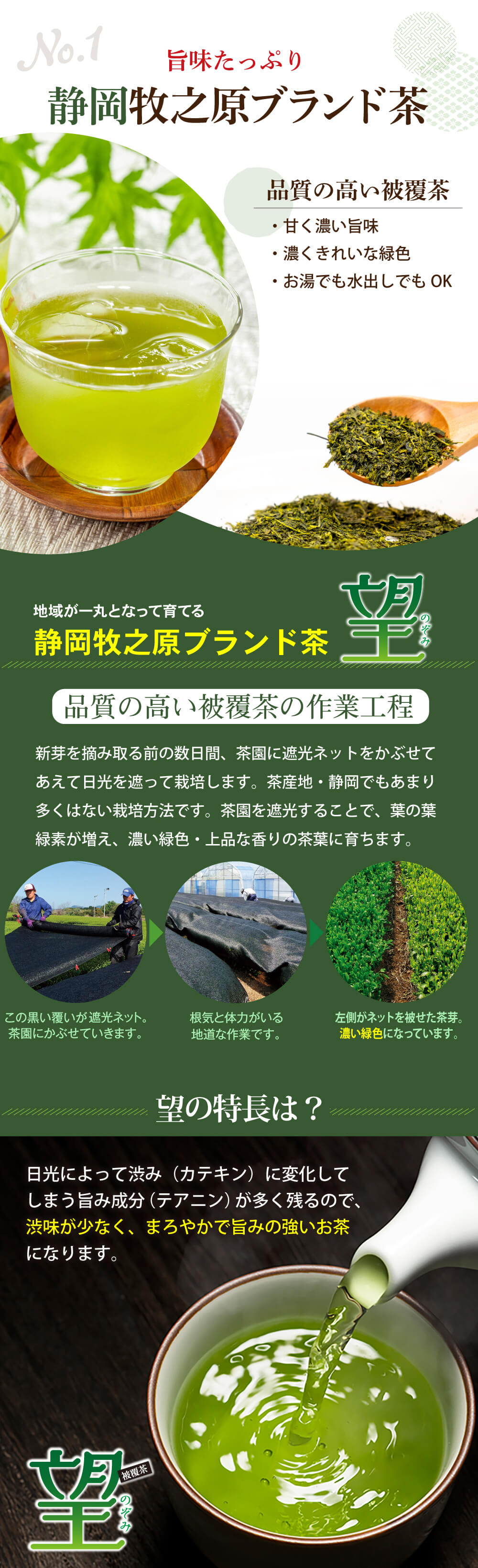 お茶の荒畑園 お中元 2025 ギフト プレゼント お茶 緑茶