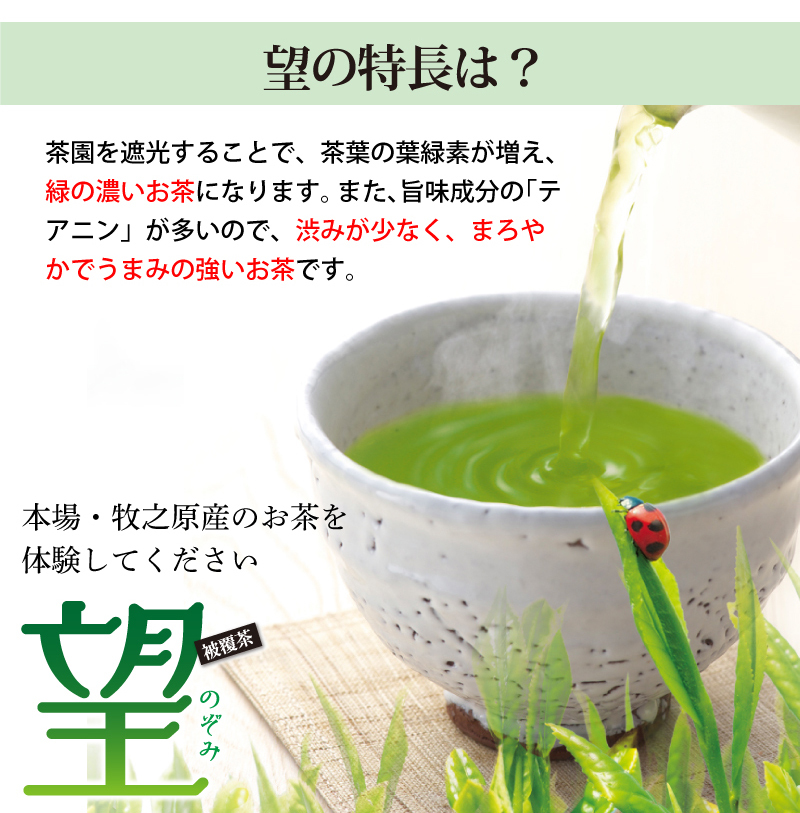 お茶 緑茶 茶葉 深蒸し茶 日本茶 お茶の葉 静岡茶 国産品 送料無料