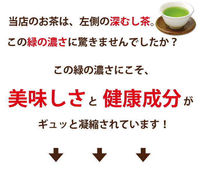 お茶 緑茶 茶葉 深蒸し茶 日本茶 お茶の葉 静岡茶 国産品 カテキン送料