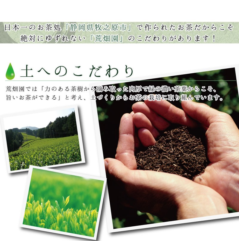 お茶 緑茶 静岡茶 深蒸し茶 日本茶 茶葉 国産品 カテキン 牧之原